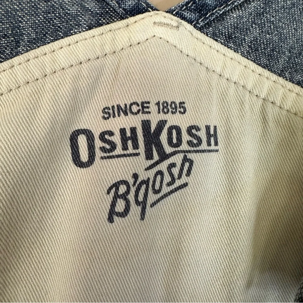 Boys 3T Frog Overalls Denim Chenille Patches Osh Kosh Bgosh Vest Back Blue Jean